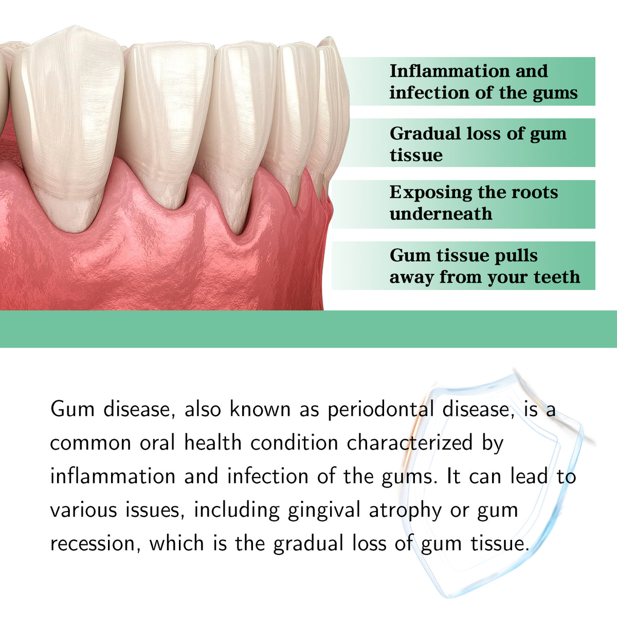 Gum Care Drops Care For Gums Relieve Bubbling Oral Cleansing Drops